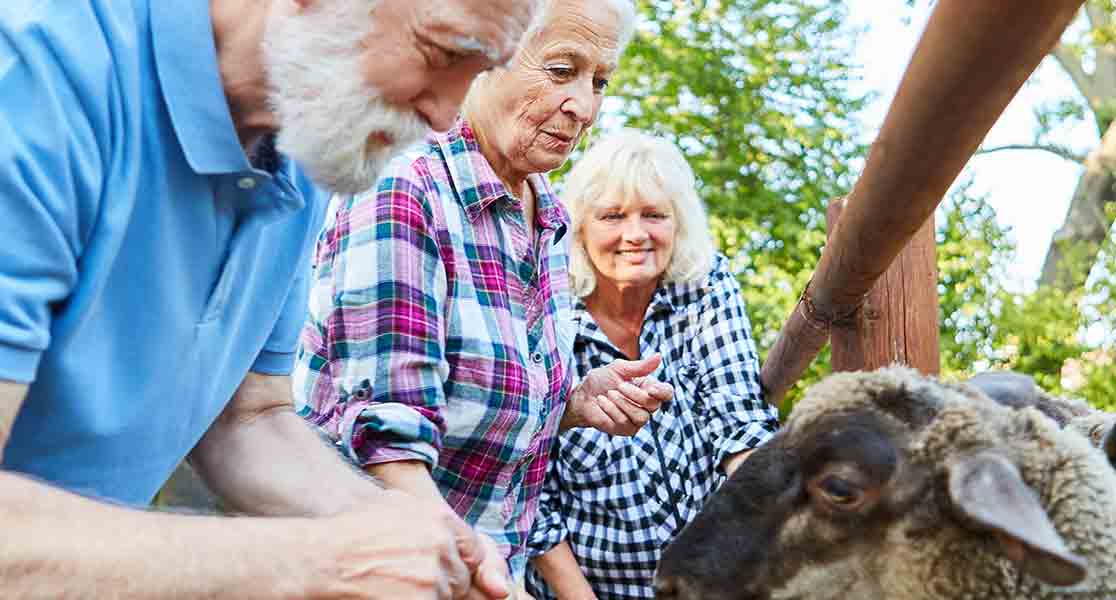 Destiny Senior Care