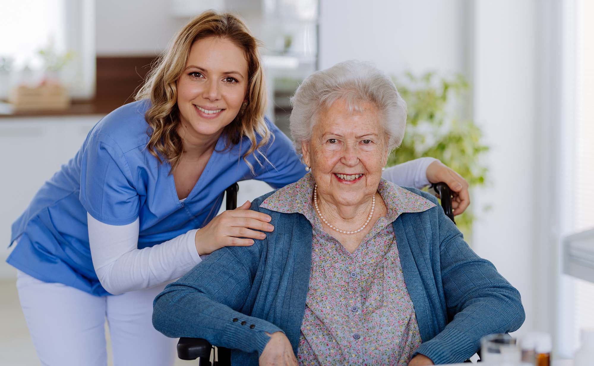Compass Rose of Brandon — photo 1