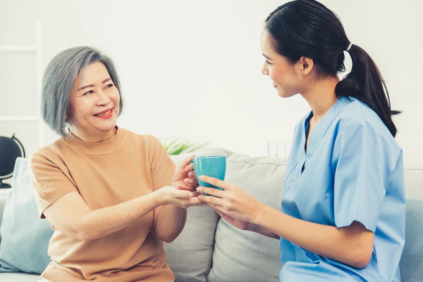 Delightsome Care Services