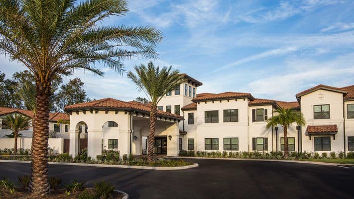 Starling at San Jose — photo 1