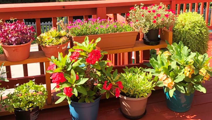 Gloria Senior Living