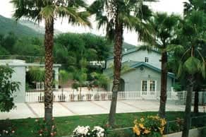 Twin Oaks Garden