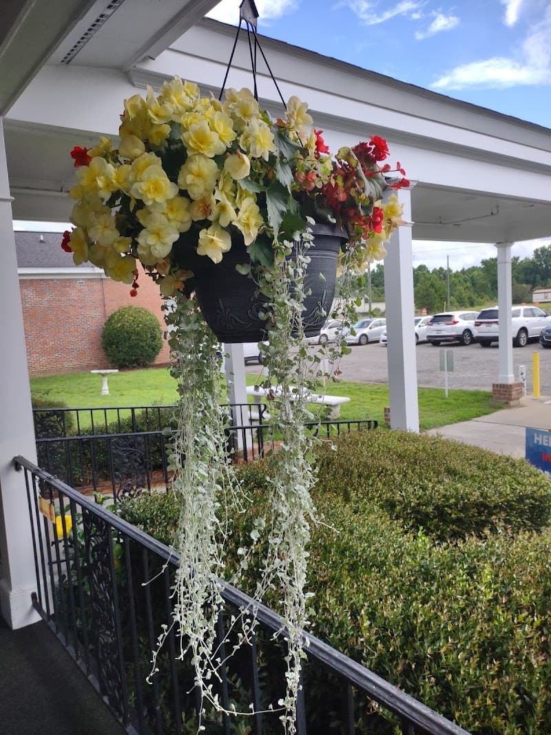 The Palms at Florence