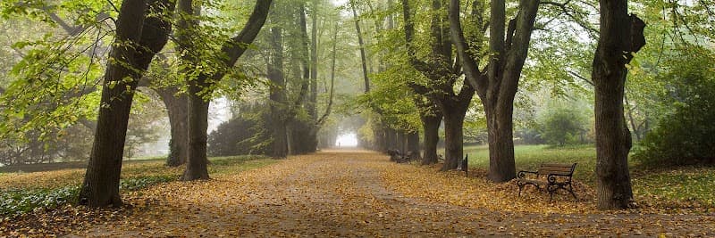 Braintree Manor HealthCare