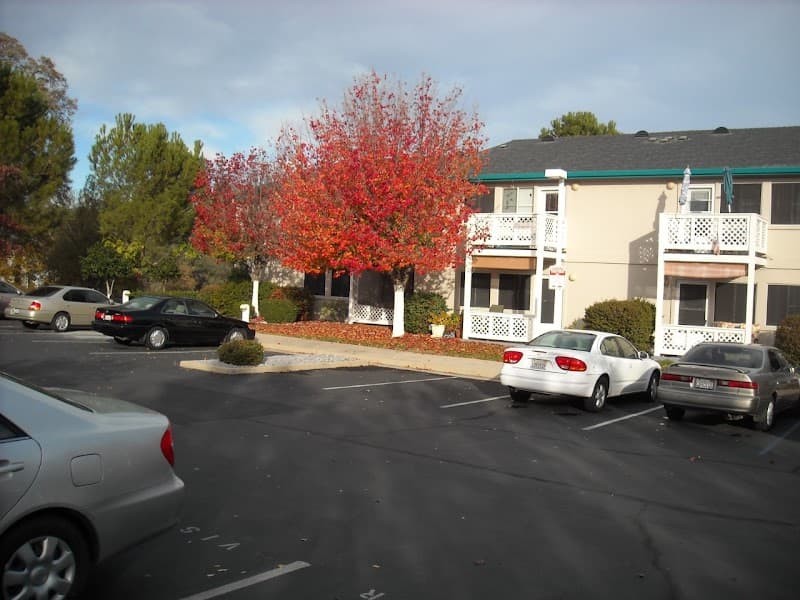 Treasured Hearts Homecare Services