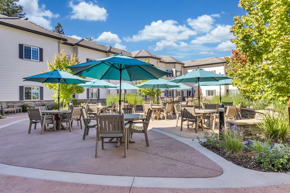 ACC Maple Tree Village — photo 1