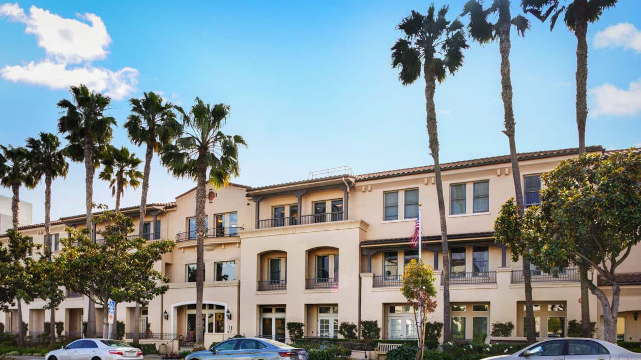 Ivy Park at Santa Monica — photo 1