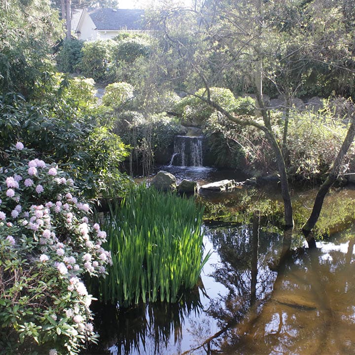 Crystal Falls Adult Family Home