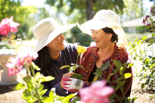 Park Gardens Rehabilitation & Nursing Center