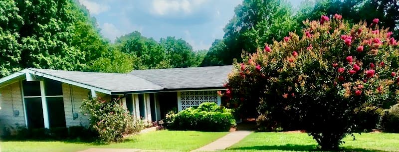 Ferns Tender Loving Care