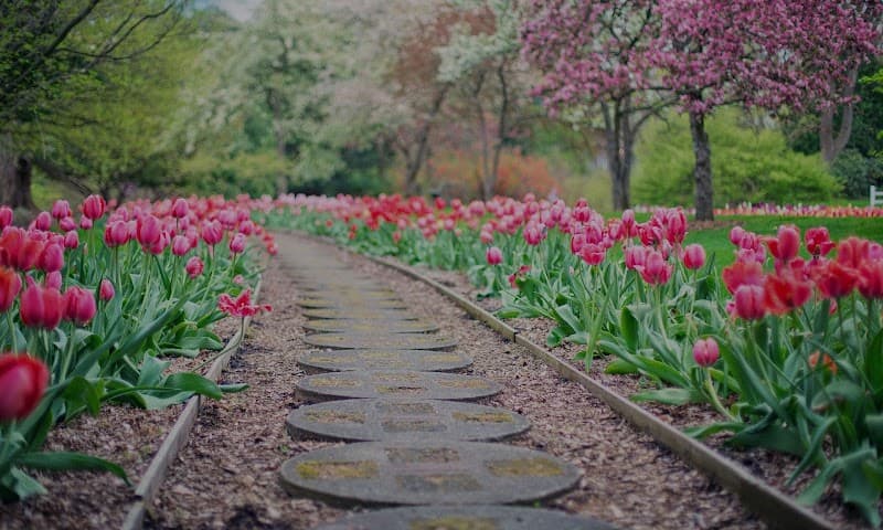 Adult Care Solutions