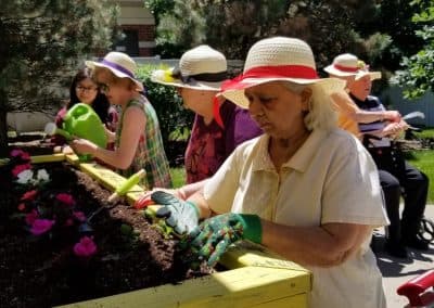 White Oaks at Heritage Woods of South Elgin