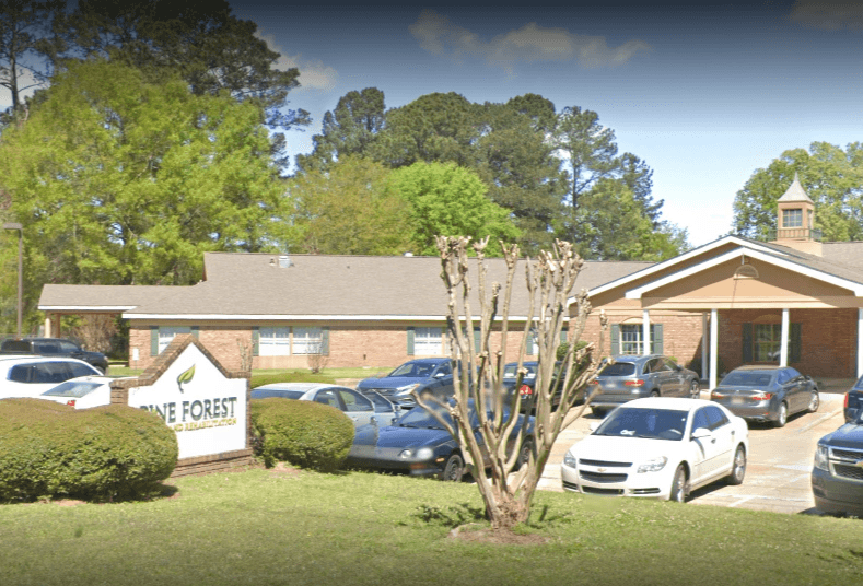 Pine Forest Health and Rehabilitation