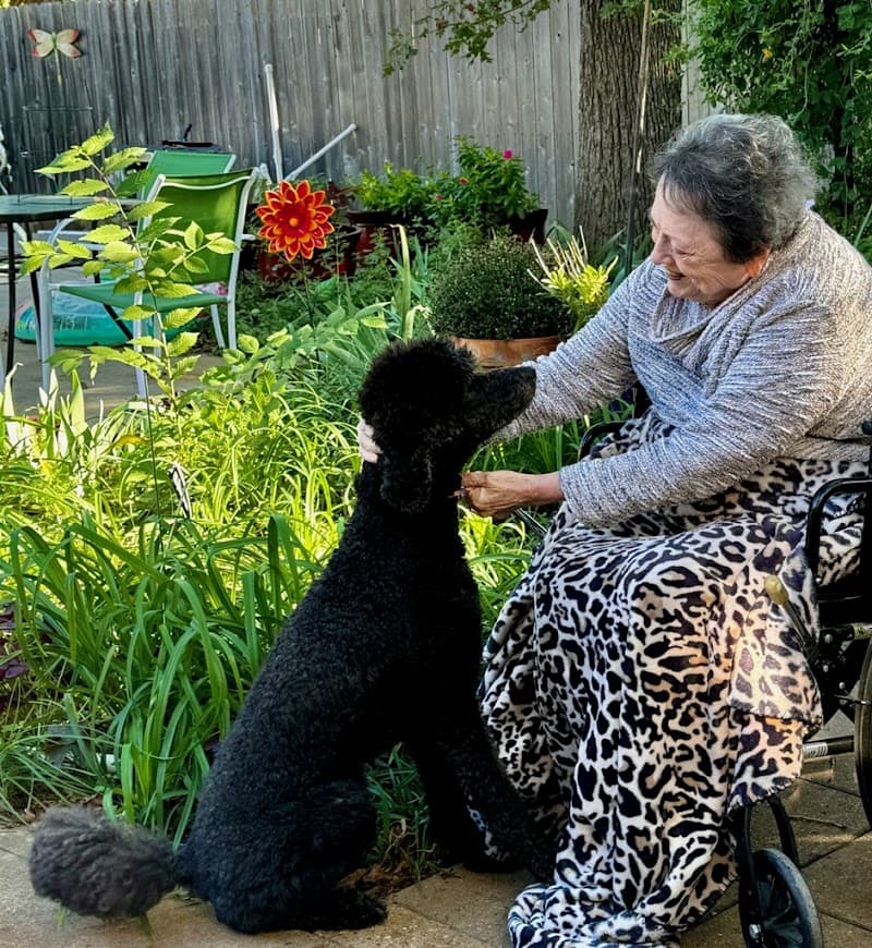 Abiding Joy Senior Care Home