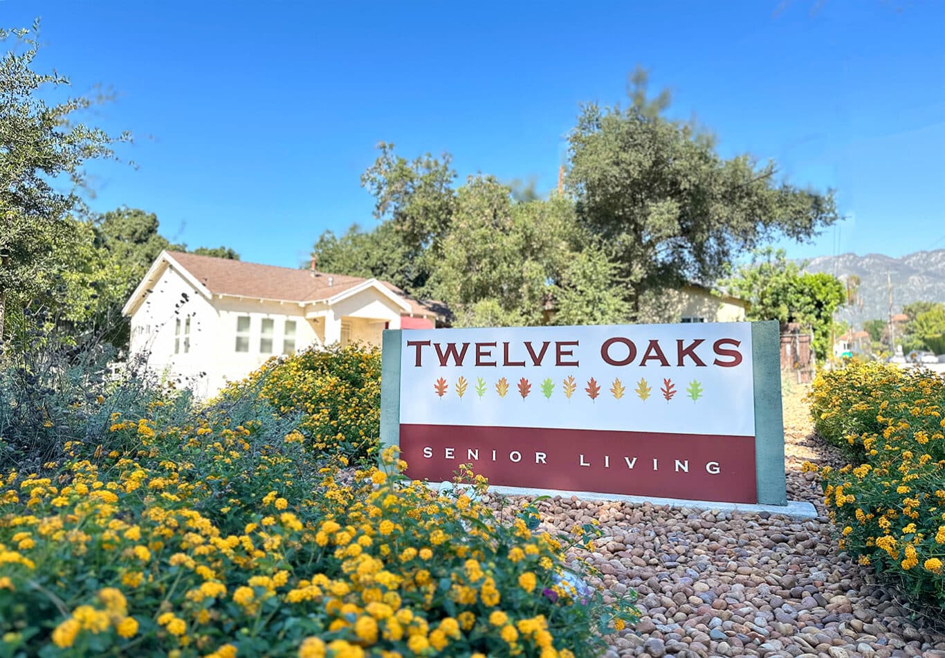 Twelve Oaks