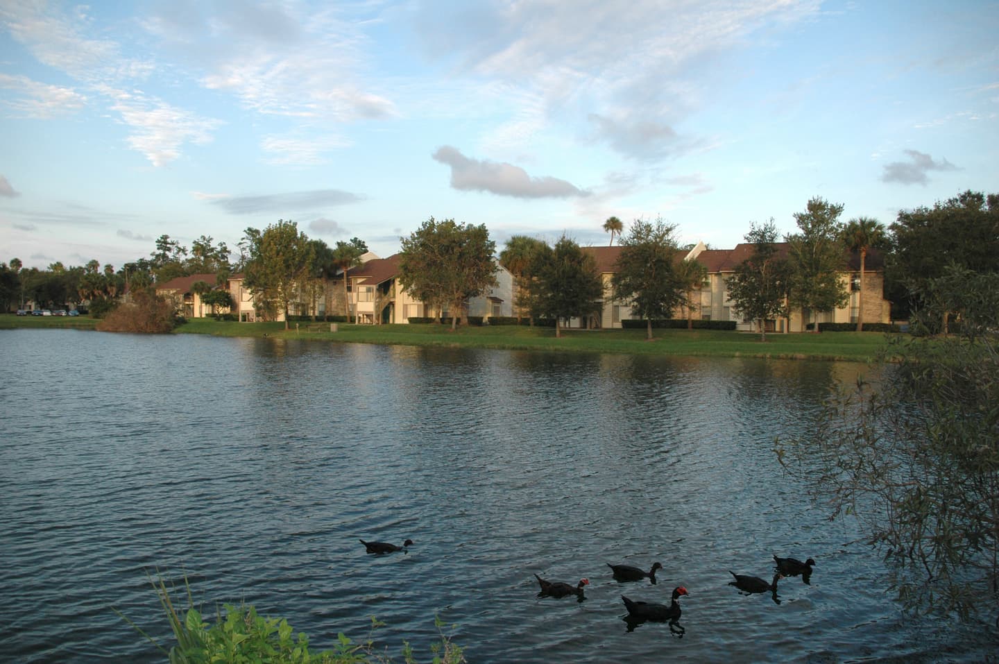 Willow Pond Apartments