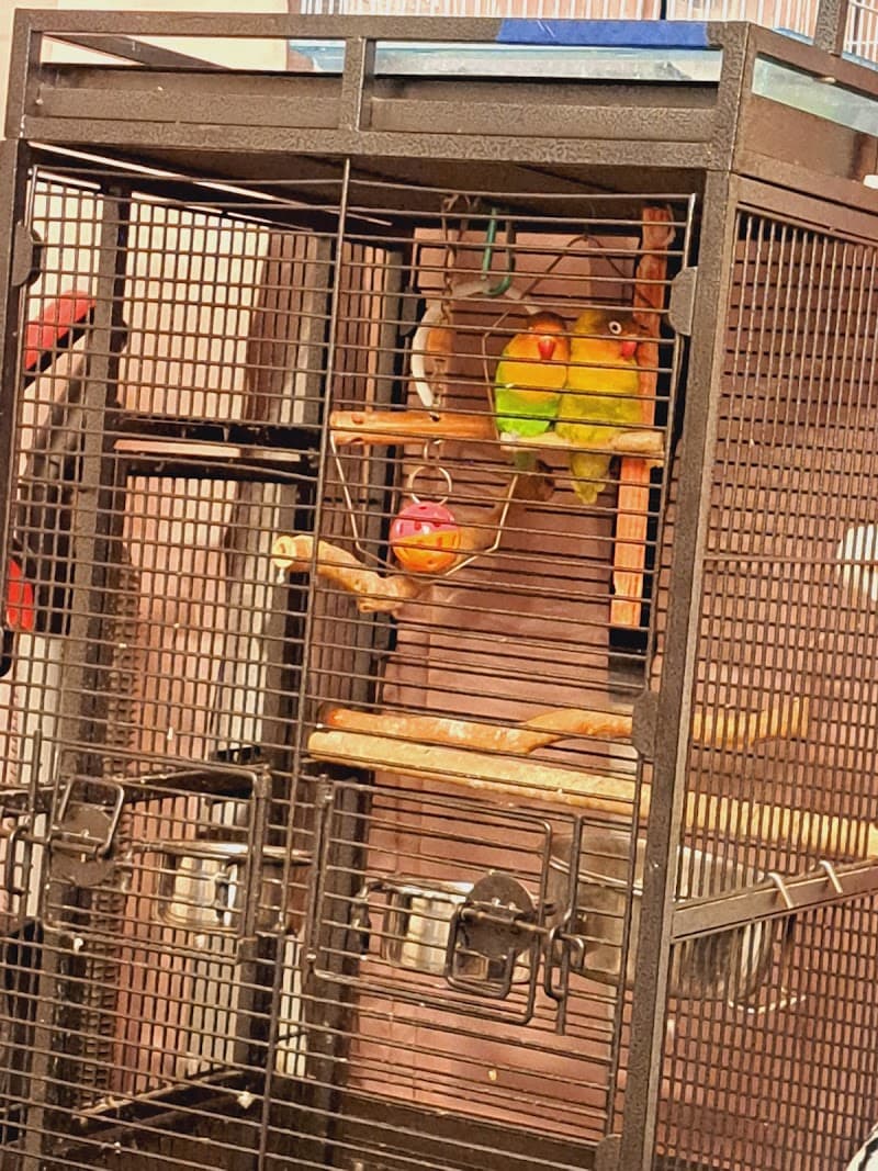 Mama Sherman'S Love & Caring In-Home Care