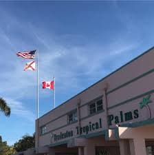 Bradenton Tropical Palms