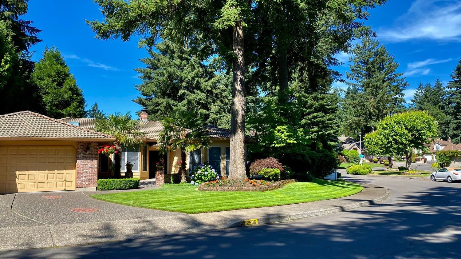 Magnolia Gardens Senior Care