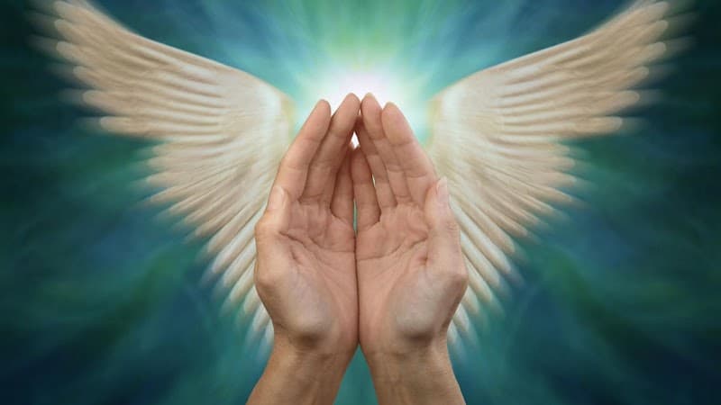 Blessed Hands Senior Home care