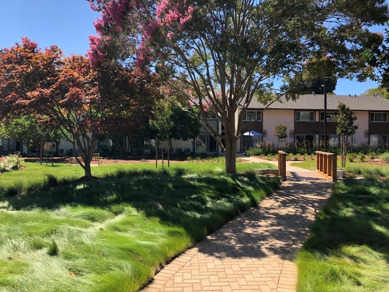 Life's Garden | Human Good — photo 1