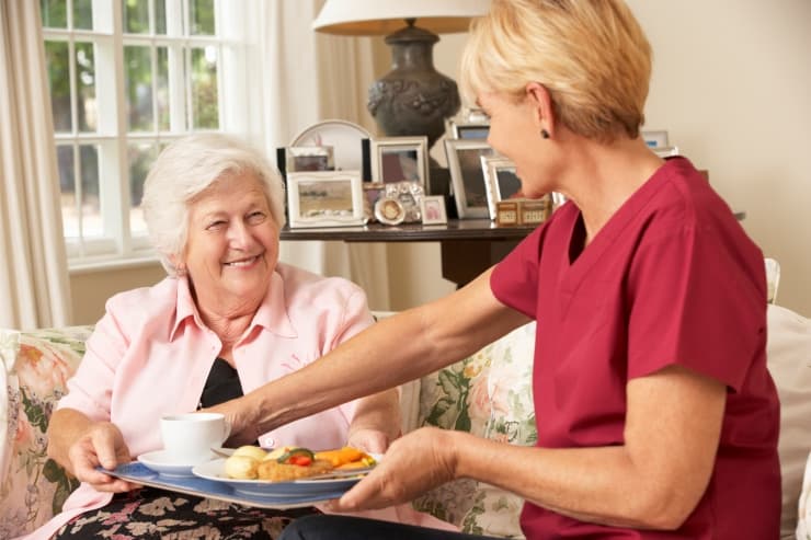 Love and Companion In-Home Care