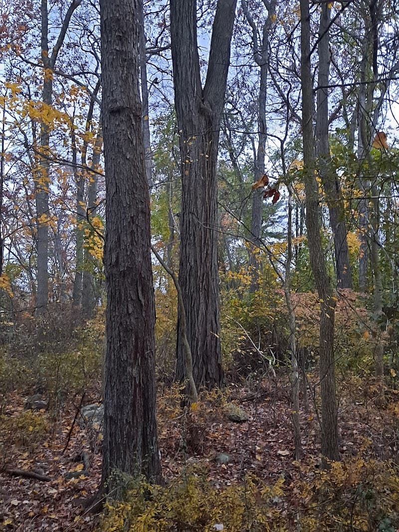 Wellness Senior Care