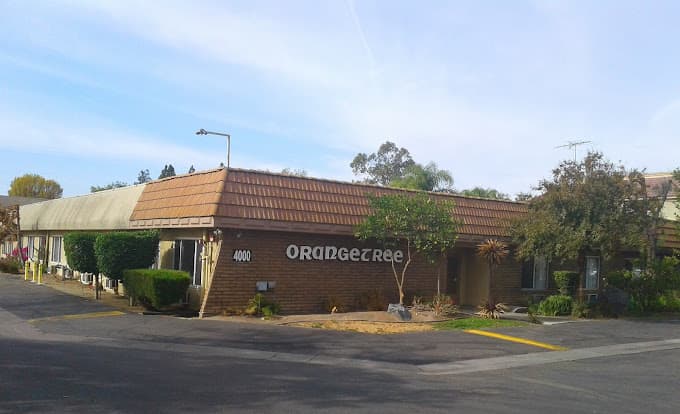 Providence Orangetree