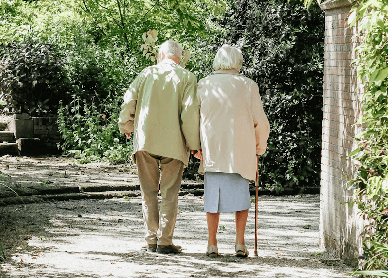 Camarade Companionship & Housesitting