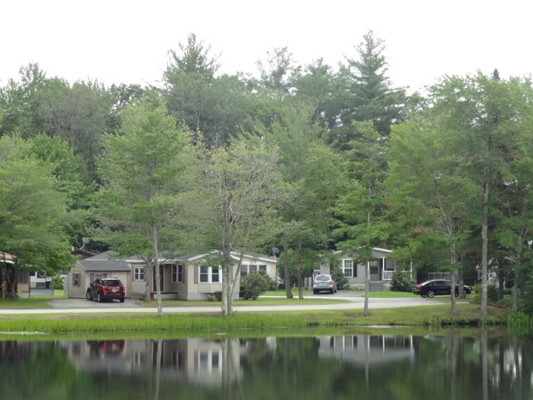 Pine and Pond