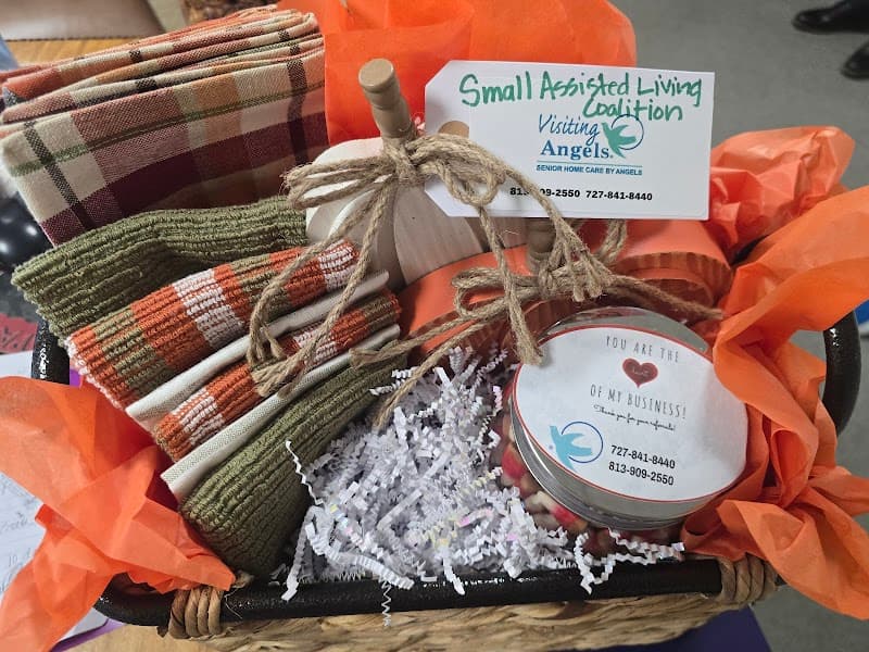 Visiting Angels - Senior Home Care in Tampa