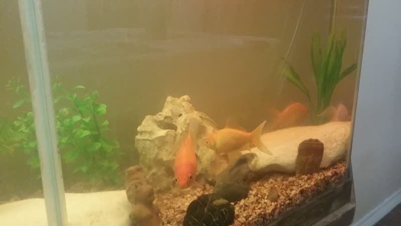 Bella Villa Assisted Living