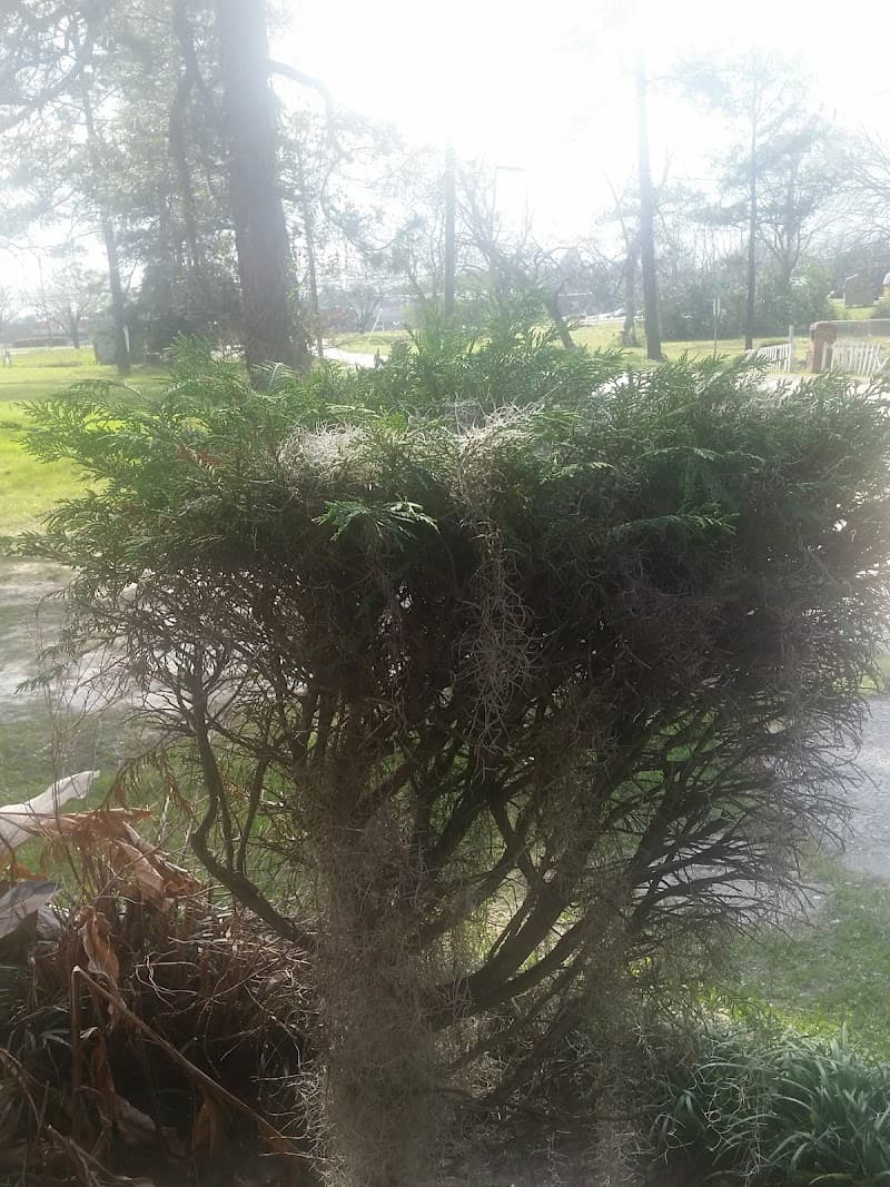 Gatwick Senior Village