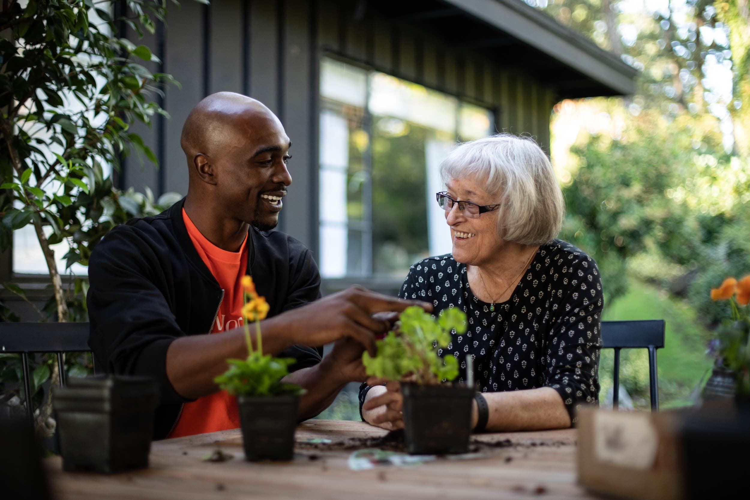 new horizons home care agency