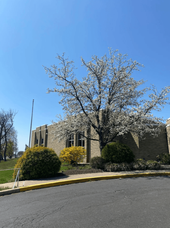 St. John Neumann Center for Rehabilitation & Healthcare