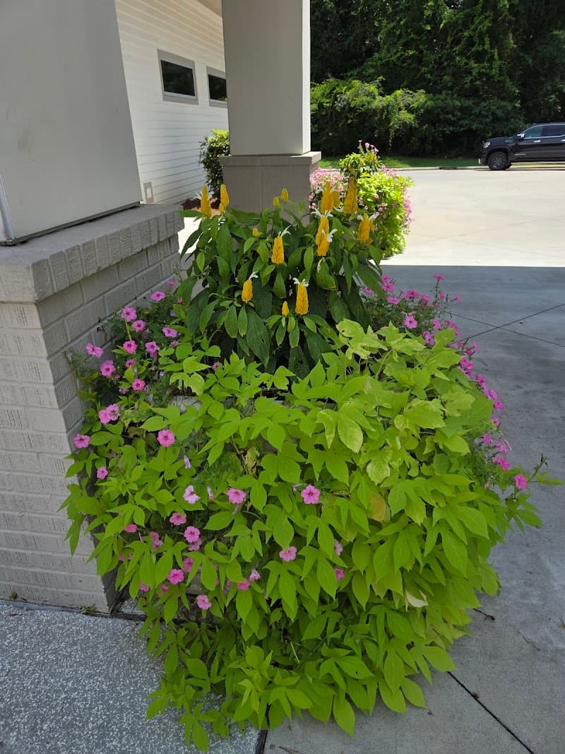 Trend Health & Rehab