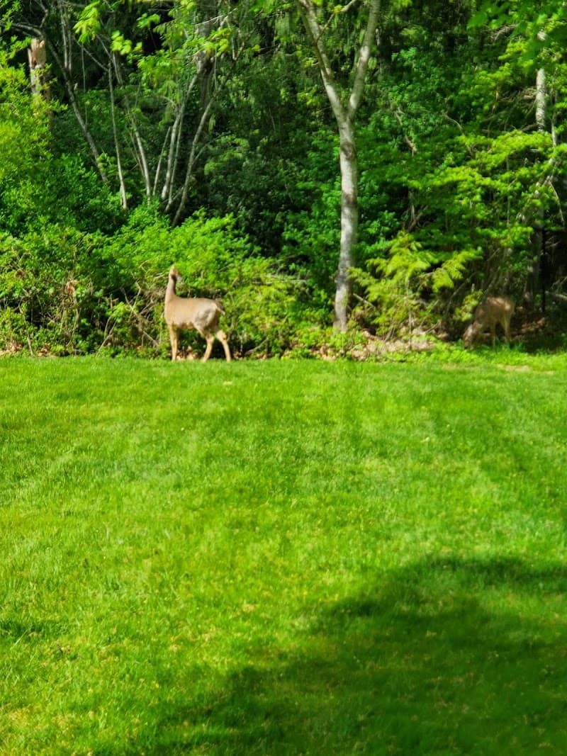 Pinewood Manor Senior Apartments