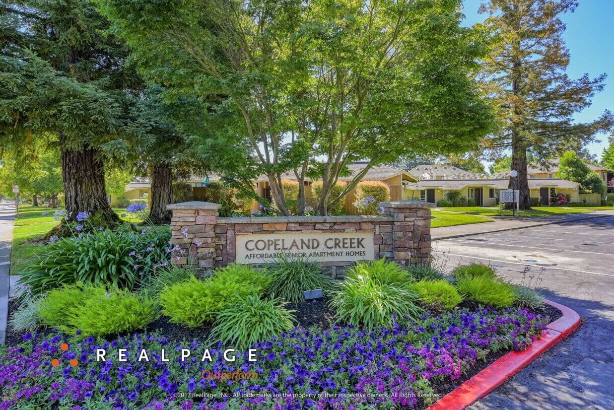 Copeland Creek