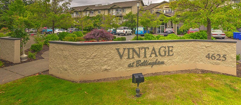 Vintage at Bellingham