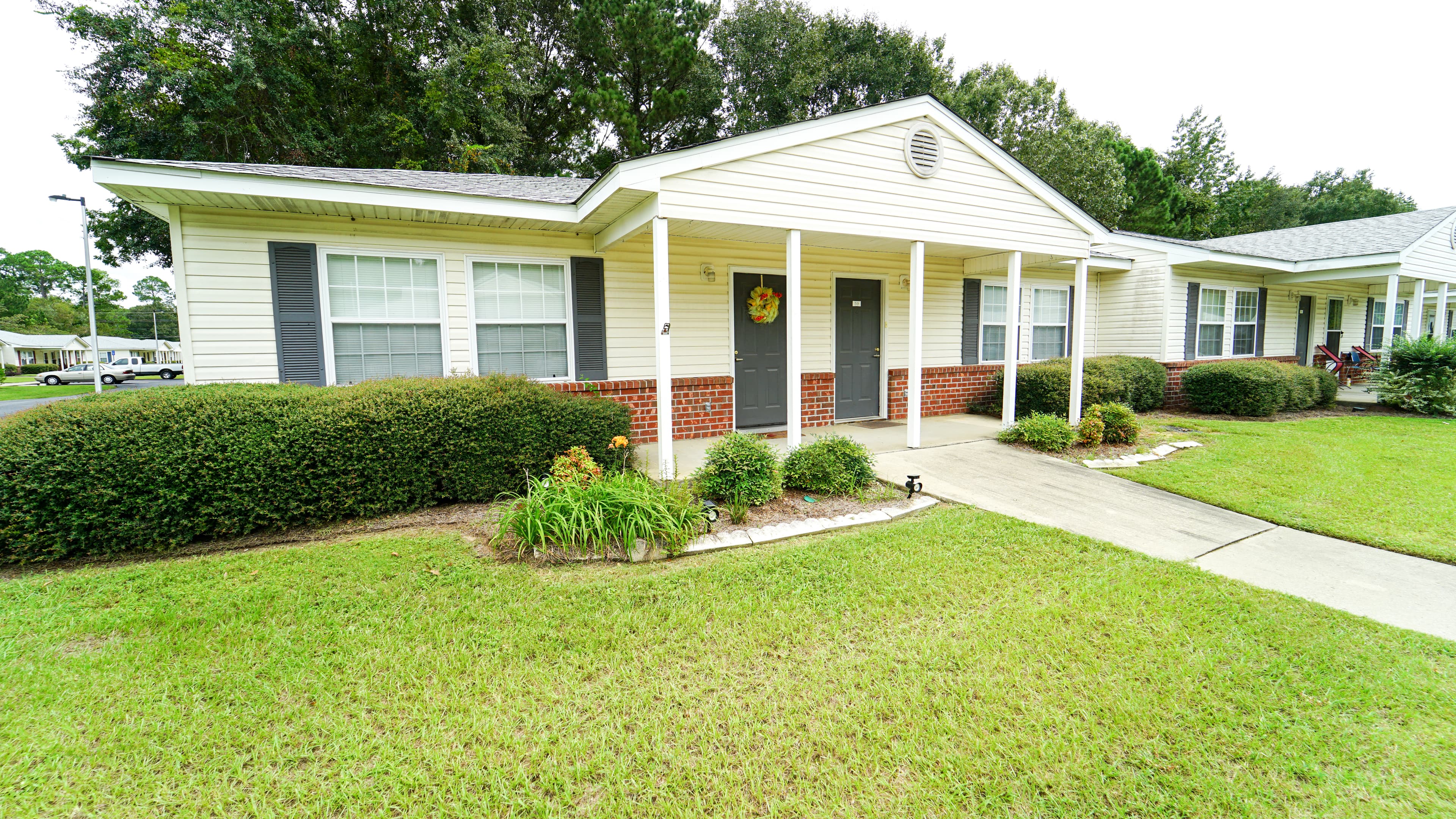 Albany Spring Seniors