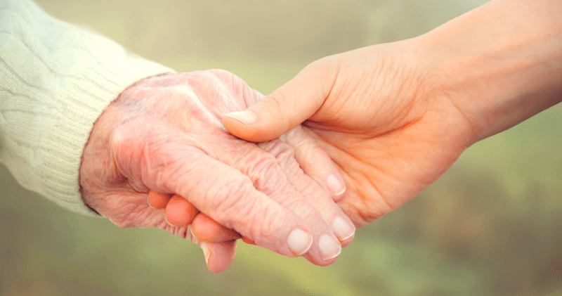 The Garden View Home