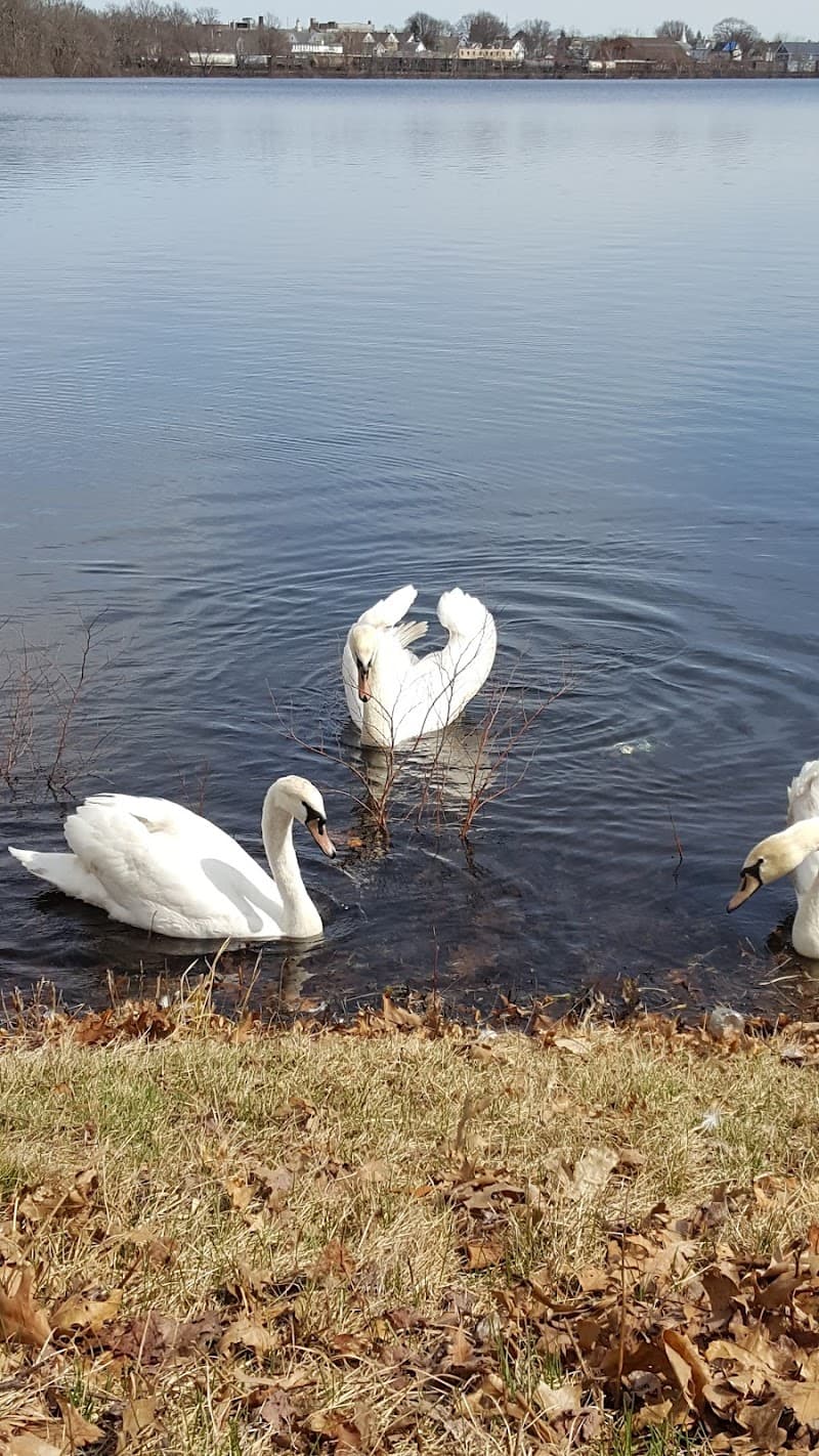 Village At Farm Pond