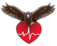 Falcon Healthcare Agency logo