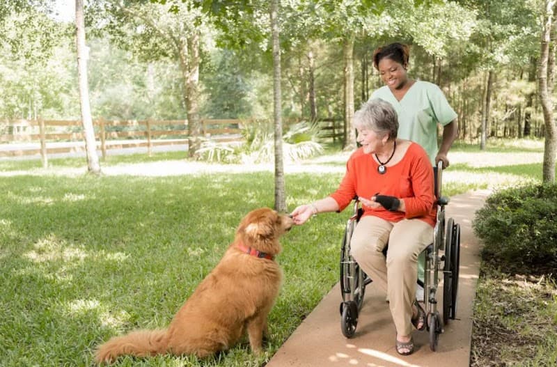 HomeBridge In Home Care