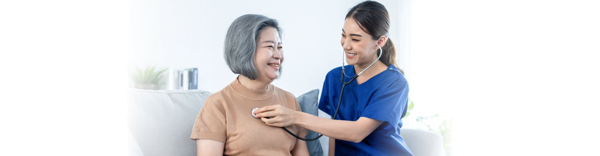 Homestead Health Care Services