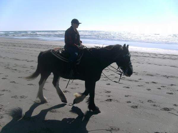 Emerald Park Care Center