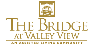 The Bridge at Valley View logo