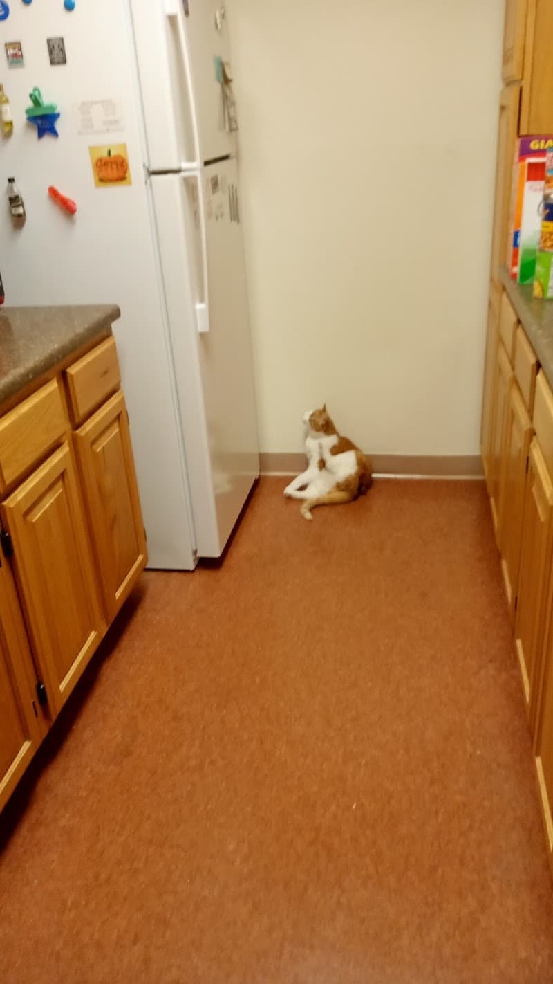 Heritage Village — photo 1