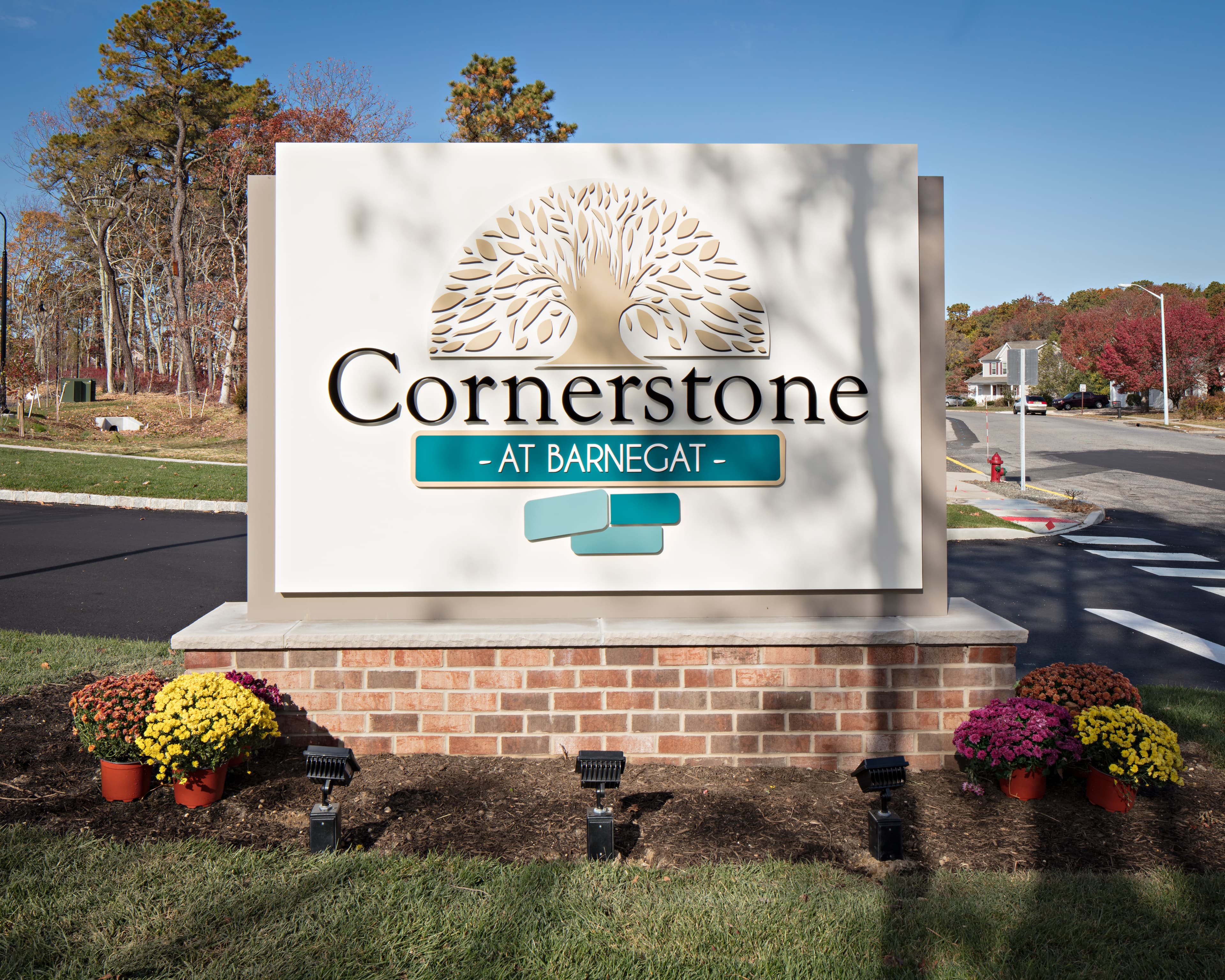 Cornerstone at Barnegat 55+