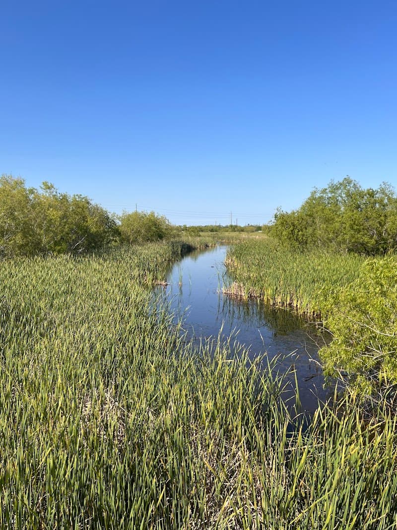 Freeport Wetlands